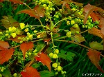 20070309 22.jpg